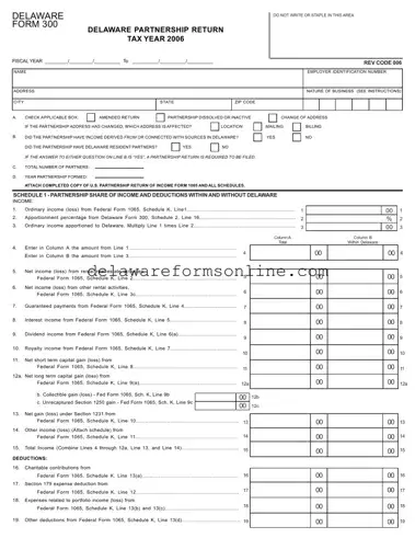 Official Delaware 300 Form in PDF