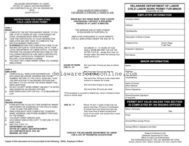 Official Delaware Work Permit Form in PDF